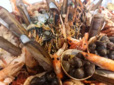 Fruits de mer -  - Exquise en route